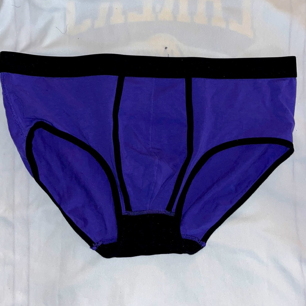 BEAR SKN BRIEFS